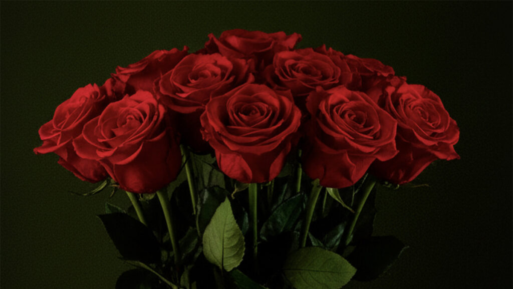 Ramo de rosas rojas