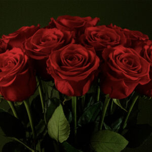 Ramo de rosas rojas