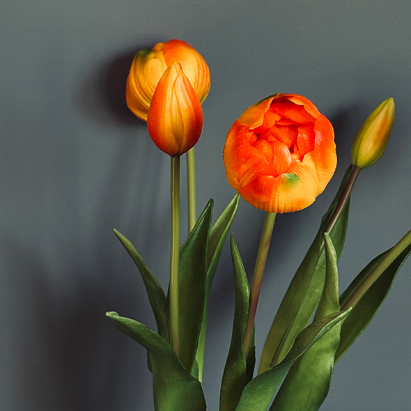 Ramo de tulipanes
